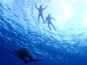 神秘的な世界へ！