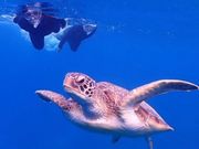 はじめまして！