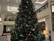 ホテルのクリスマスツリー