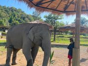 近くで写真が撮れます