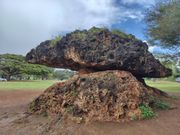 ノースショアの二枚岩