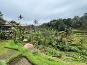 テガラランの棚田