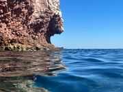 シュノーケリング