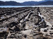 青島(鬼の洗濯板)