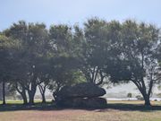 大谷翔平選手も訪れたハワイのパワースポット