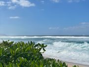 この日は波が高かった