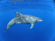 かわいかった💕