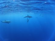 息をのむほどの神秘的な光景！