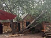 古き良き素敵なRockford