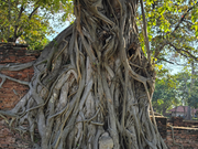 ワット・マハタート