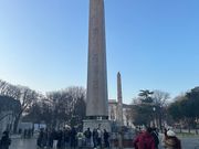 ピポドゥローム