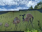 アボリジニの壁画