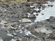 海亀さんと合流