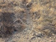 ピンクピルボックス 山道