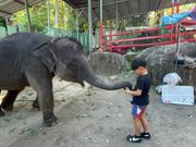 ゾウさんとの触れ合い