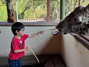 キリンが沢山いて圧倒されました
