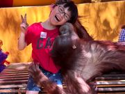 とても人慣れしたオラウータンで楽しいポーズを幾つもしてくれました