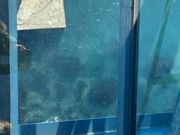 床がガラス張りで怖いです