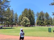 その向かいには広い公園がありました