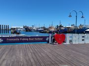 その隣には港がありました