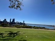 キングスパーク