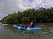マングローブカヌー