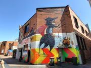 ウォールアートがたくさん