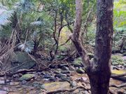 クーラの滝周辺の様子