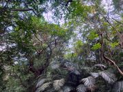 トレッキングコースから見える空