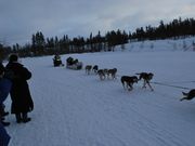 こんな感じです