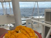 デザートのフルーツ盛り合わせ