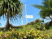 念願の古宇利島に来ました！