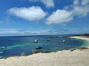 Narrow Neck というロットネスト島で一番狭い場所