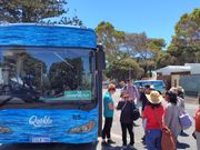 このバスで島内一周観光