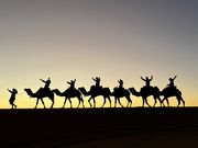 サハラ砂漠で！