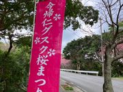 今帰仁城跡への道