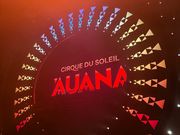 幻想的なステージ