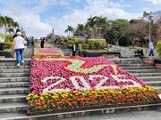 美ら海水族館と駐車場の途中の階段