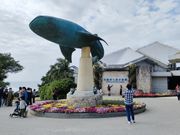 美ら海水族館の入り口