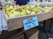 朝市は食べ物がいっぱいです