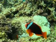 ツアー終了後に写真や動画を送ってくださいます。