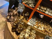 お土産ショップ