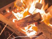 マシュマロ焼いてます