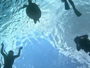 大崎湾シュノーケリング動画のスクショ