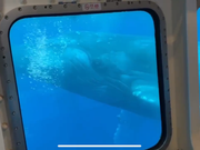 真横に来てくれた！