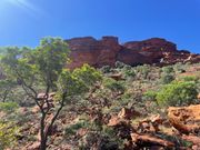 キングスキャニオン