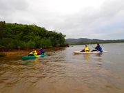 仲間川をほぼ貸し切り。