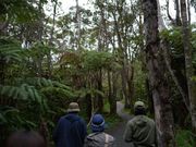 溶岩トンネルだけでなく、エリア一帯が熱帯のジャングルみたいで、とても面白いです！