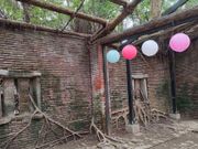 ガジュマルの木