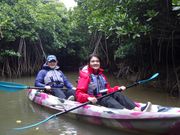 マングローブの森